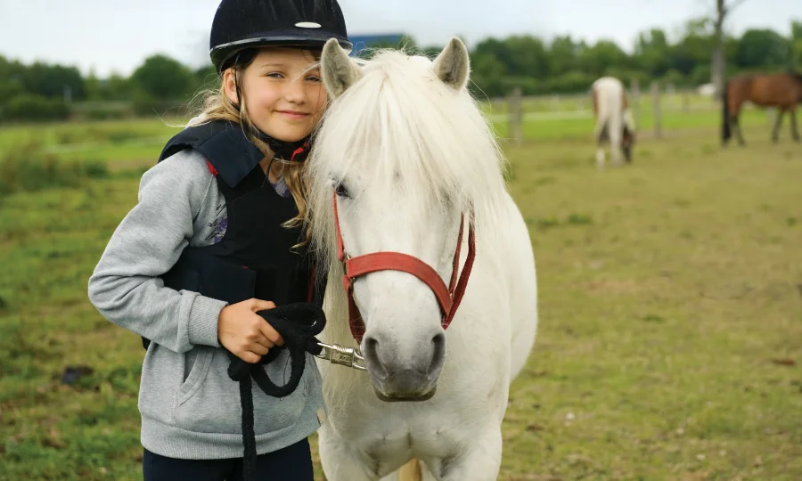 Camp de vacances en Irlande : immersion équestre pour les passionnés