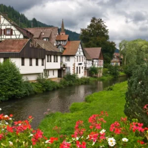 Voyage scolaire en Forêt Noire : immersion au cœur de la nature allemande