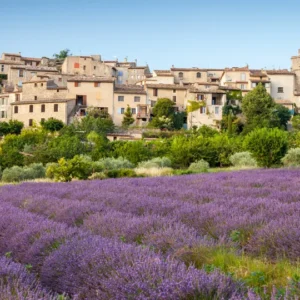 Voyage scolaire en Provence romaine : sur les traces de l'Antiquité