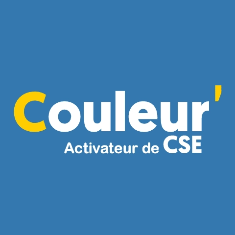 Logo Couleur' CSE